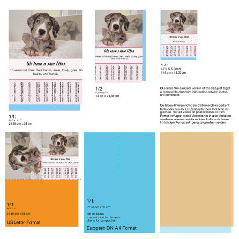 puppy for sale flyer templates