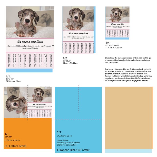 puppy for sale flyer templates (Please compare the sizes and personalize the type size if necessary. Contact me in doubt! )