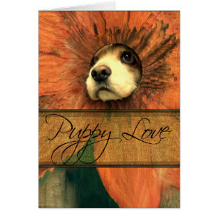 Puppy Love