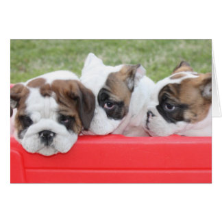 Puppy Love personalizable card