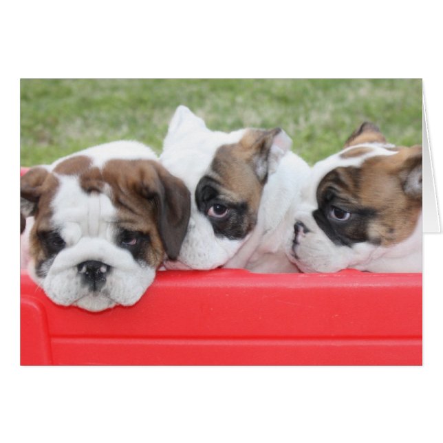 Puppy Love personalizable card (Anverso (Horizontal))