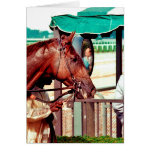 Pura sangre 1979 de Alydar