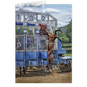 Pura sangre aventurados