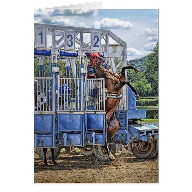 Pura sangre aventurados (Frente)