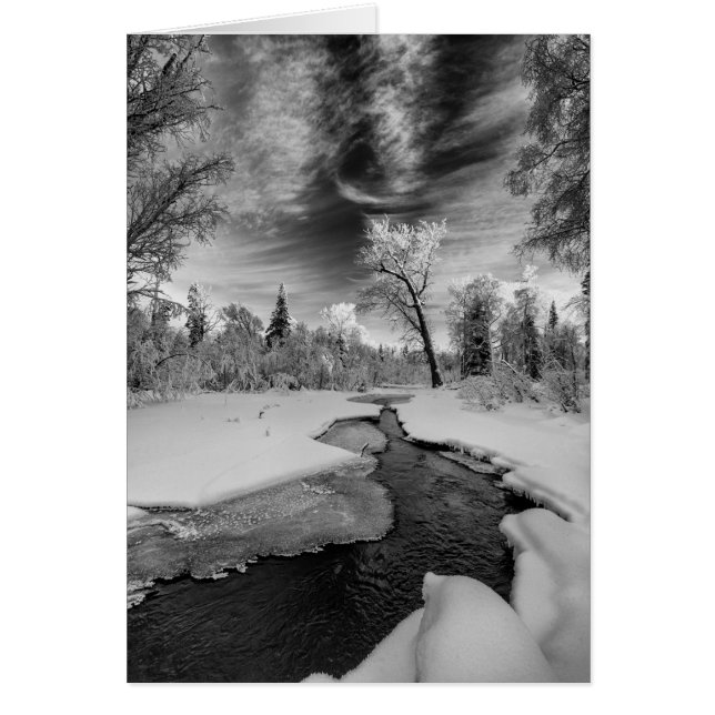 Pure Campbell Creek (Frente)