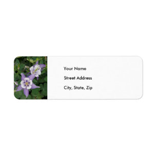 Purple Aquilegia, Etiqueta de dirección de Columbi