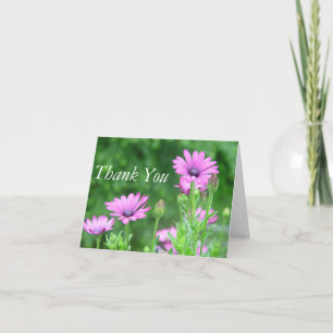 Purple Daisies-Gracias Nota