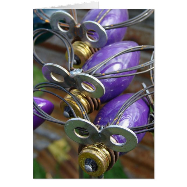 Purple Fireflys (Frente)