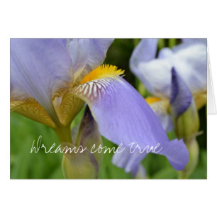 Purple Iris-Dreams se hace realidad