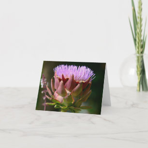 "PURPLE MUSK THISTLE"/FOTOG. TARJETA PEQUEÑA