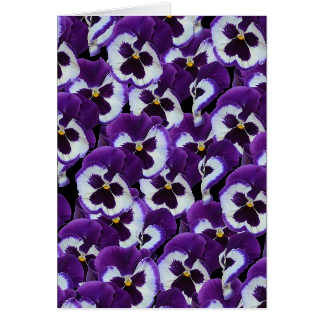 Purple Pansies Bouquet, (Frente)