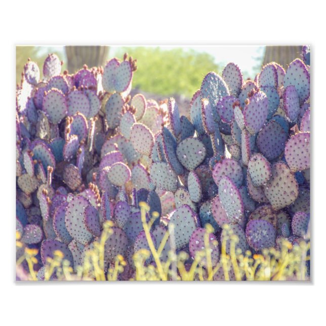 Purple Pricky Pears | Impresión fotográfica (Frente)
