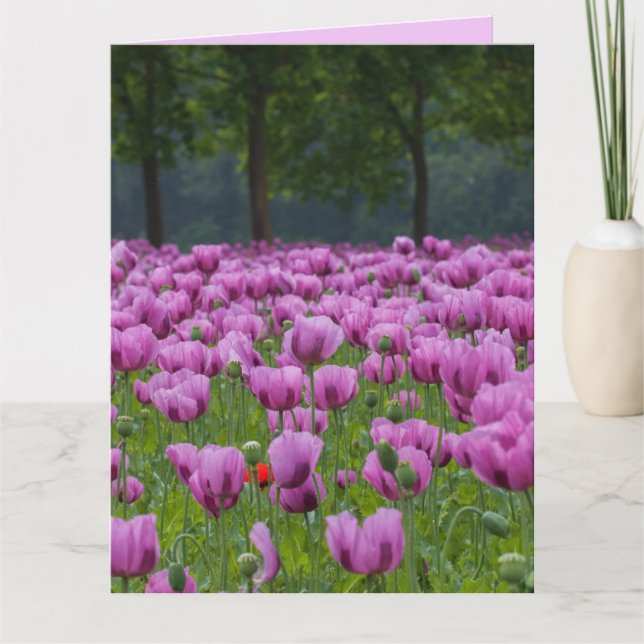 PURPLE TULIPS FLORES TARJETAS GRANDES DE CUMPLEAÑO (Anverso)