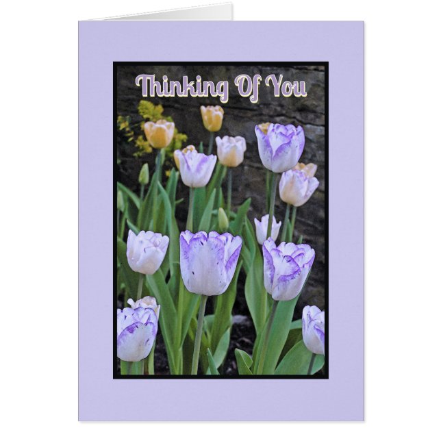 "PURPLE Y BLANCO TULIPS / Pensando En Ti (Frente)