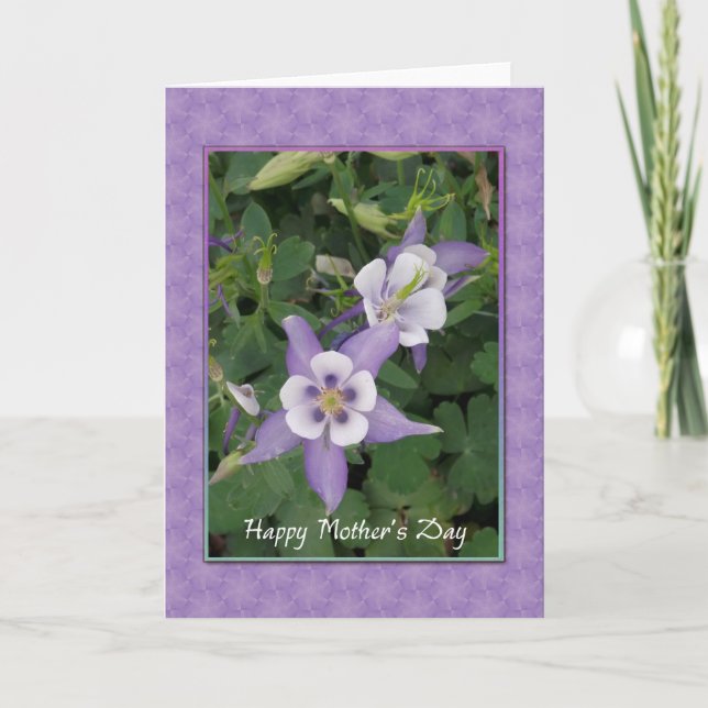 Púrpura Aquilegia, tarjeta del día de la madre de  (Anverso)