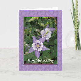 Púrpura Aquilegia, tarjeta del día de la madre de