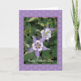 Púrpura Aquilegia, tarjeta del día de la madre de