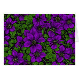 Púrpura Clematis