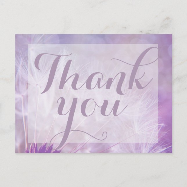 Púrpura Dandelion Gracias postal (Anverso)
