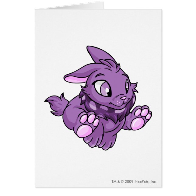 Púrpura de Cybunny (Frente)