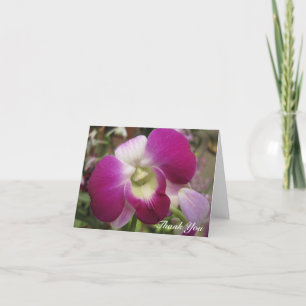 Púrpura Dendrobium Orchid Gracias Tarjeta