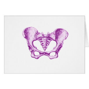 Púrpura femenina de la pelvis