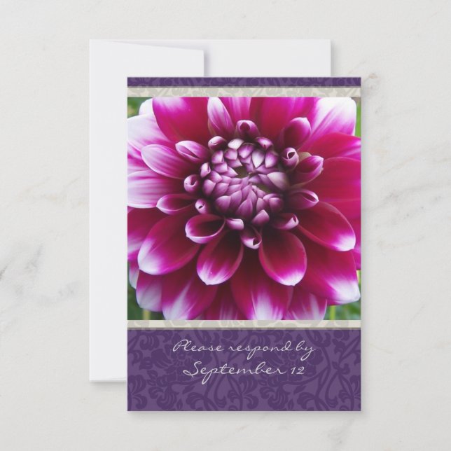 Púrpura Fuschia Dahlia rsvp con sobres (Anverso)