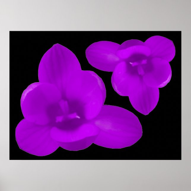 Púrpura impresión crocus (Frente)