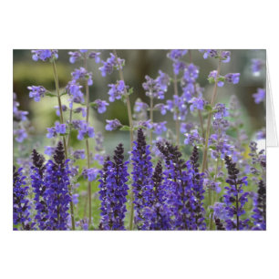 Púrpura pasión notecard