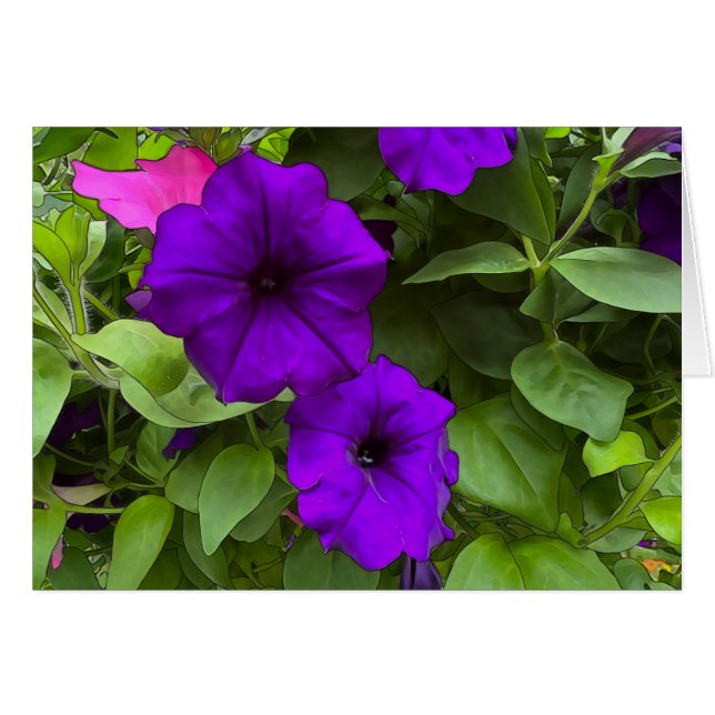 Púrpura Petunias - Tarjeta de arte de 5" x 7" (Anverso (Horizontal))