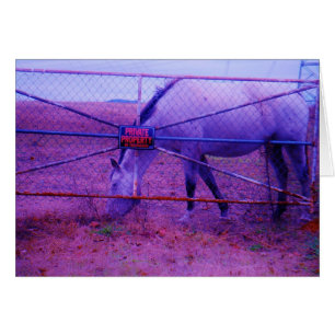 Púrpura propiedad privada caballo
