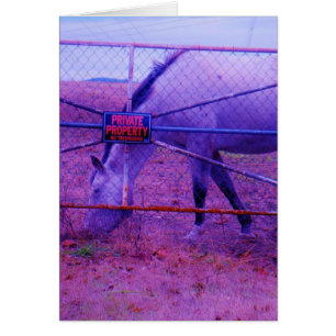 Púrpura propiedad privada caballo