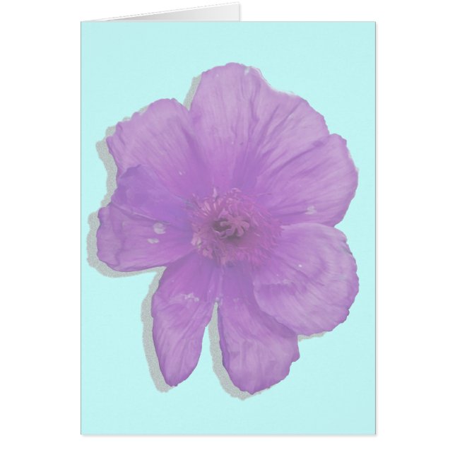 Púrpura Punch/ Flor PopArt (Frente)