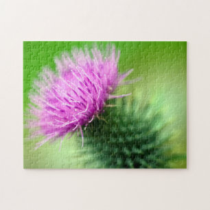 Púrpura Thistle Jigsaw puzzle