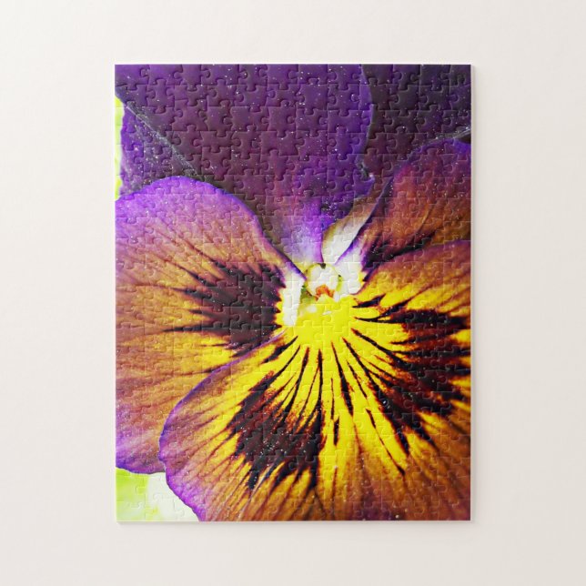 Púrpura y amarilla Pansy - Rompecabezas (Vertical)