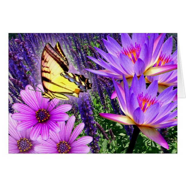 Púrpuras en naturaleza (Anverso (Horizontal))