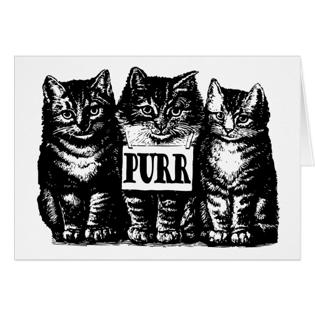 Purr Kittens (Anverso (Horizontal))