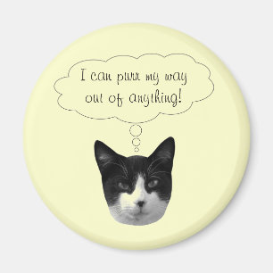 Purr mi salida de cualquier imán