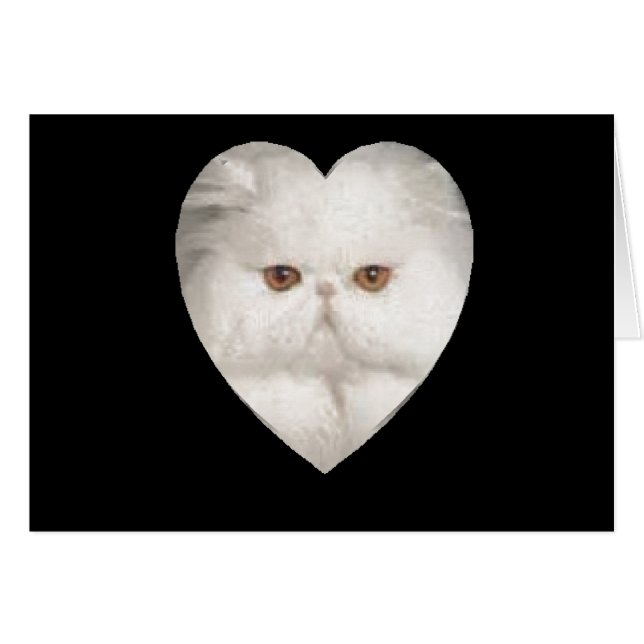 Purrfect Kitty (Anverso (Horizontal))