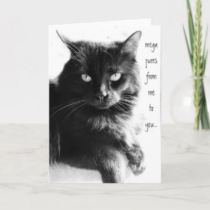 PURS DE MÍ A TI, tarjetas de notas de gatos negros