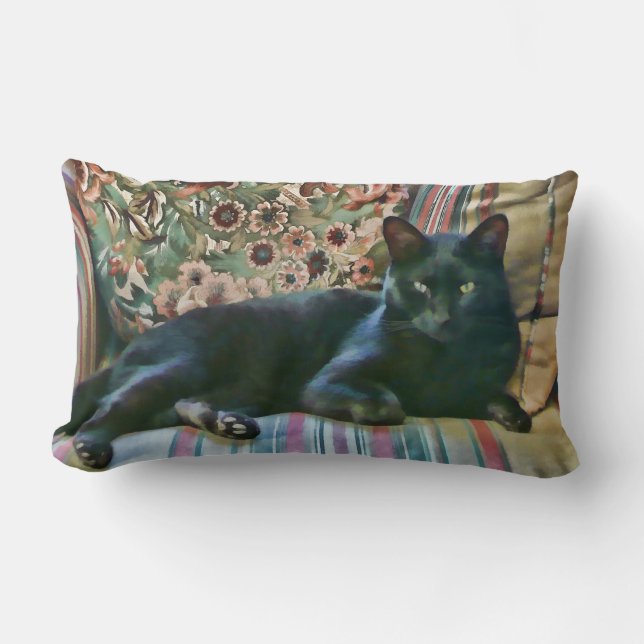 Puss orgulloso, almohadas de MoJo del americano (Anverso)