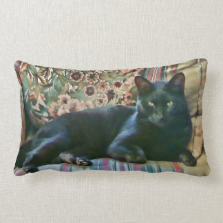 Puss orgulloso, almohadas de MoJo del americano