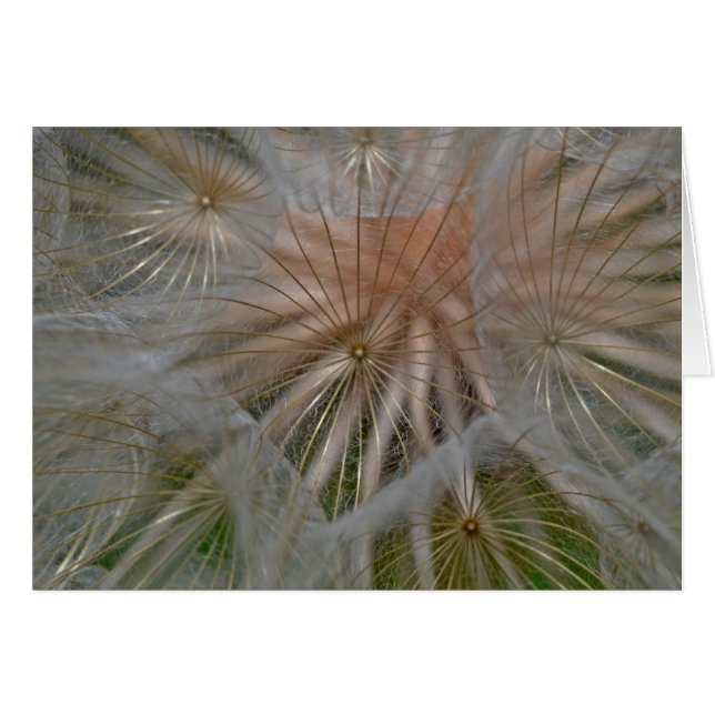 “Pusteblumen Schirmchen” by mysteryella (Anverso (Horizontal))
