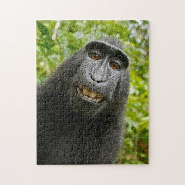 Puzle de mono (Vertical)