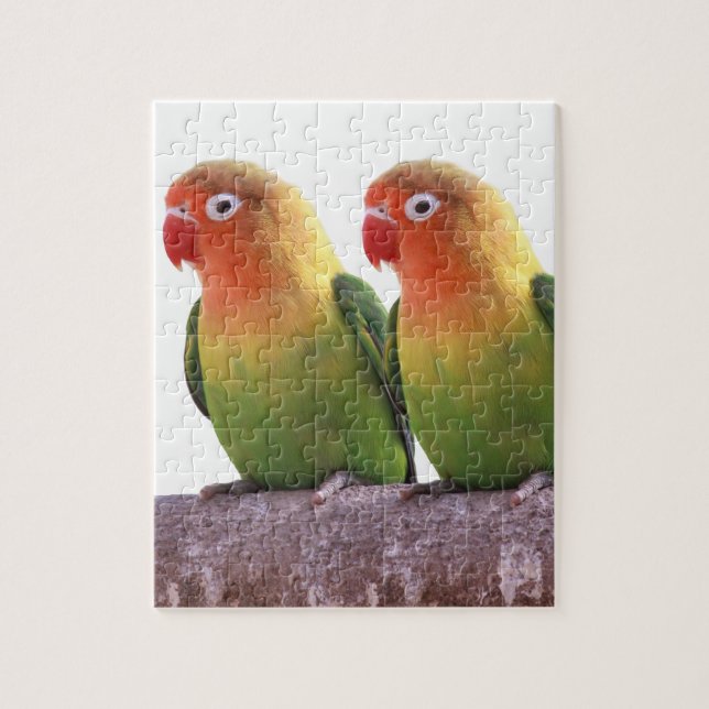 Puzzle の "Fischer's Lovebird" 製 良 優 (Vertical)