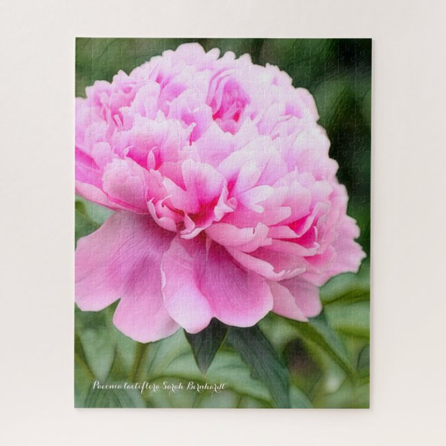 Puzzle ャ・ヤ・[花] ジ グ ソ・ snihtsnihtæ (Vertical)