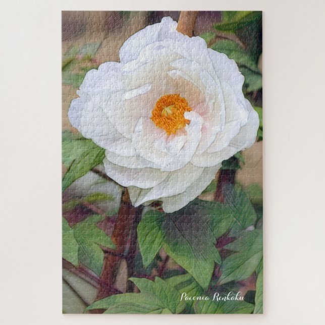 Puzzle 牡 丹 [花] ジ グ ソ ズ パ snihtsni (Vertical)