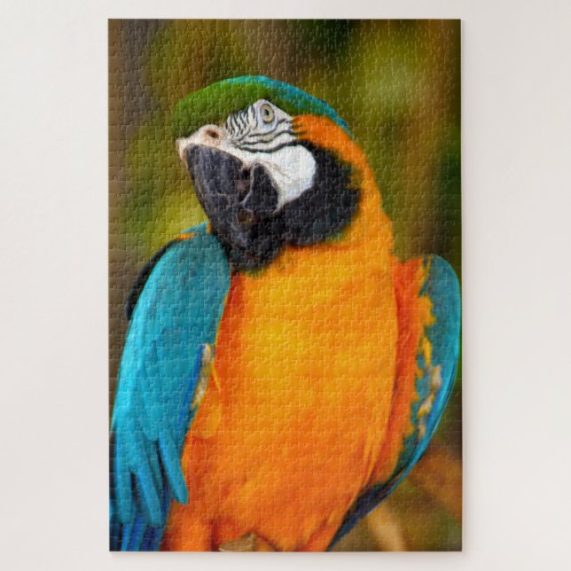 Puzzle 1000 pieza Majestic Macaw (Vertical)