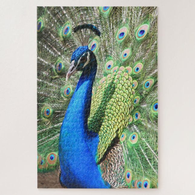 Puzzle 1000 piezas Stunning Peacock Photo (Vertical)