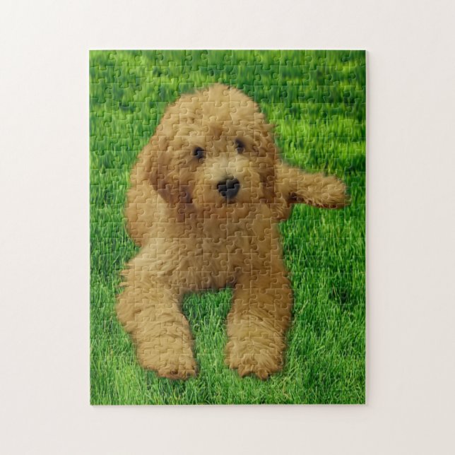 Puzzle 11x14 Rex El Goldendoodle (Vertical)